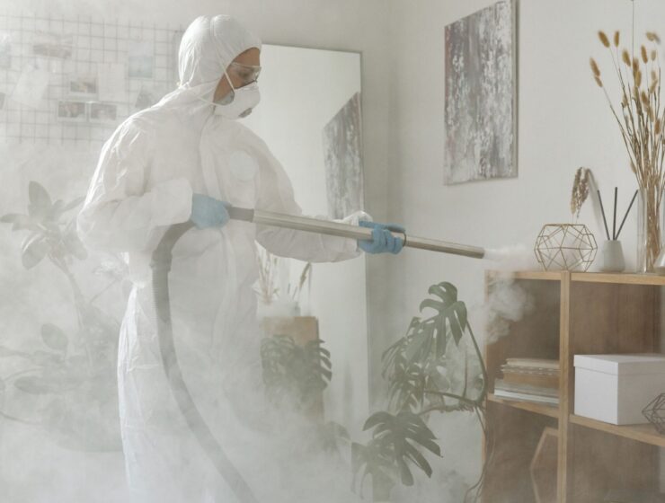 Commercial Property Meth Cleaning and Decontamination Napier