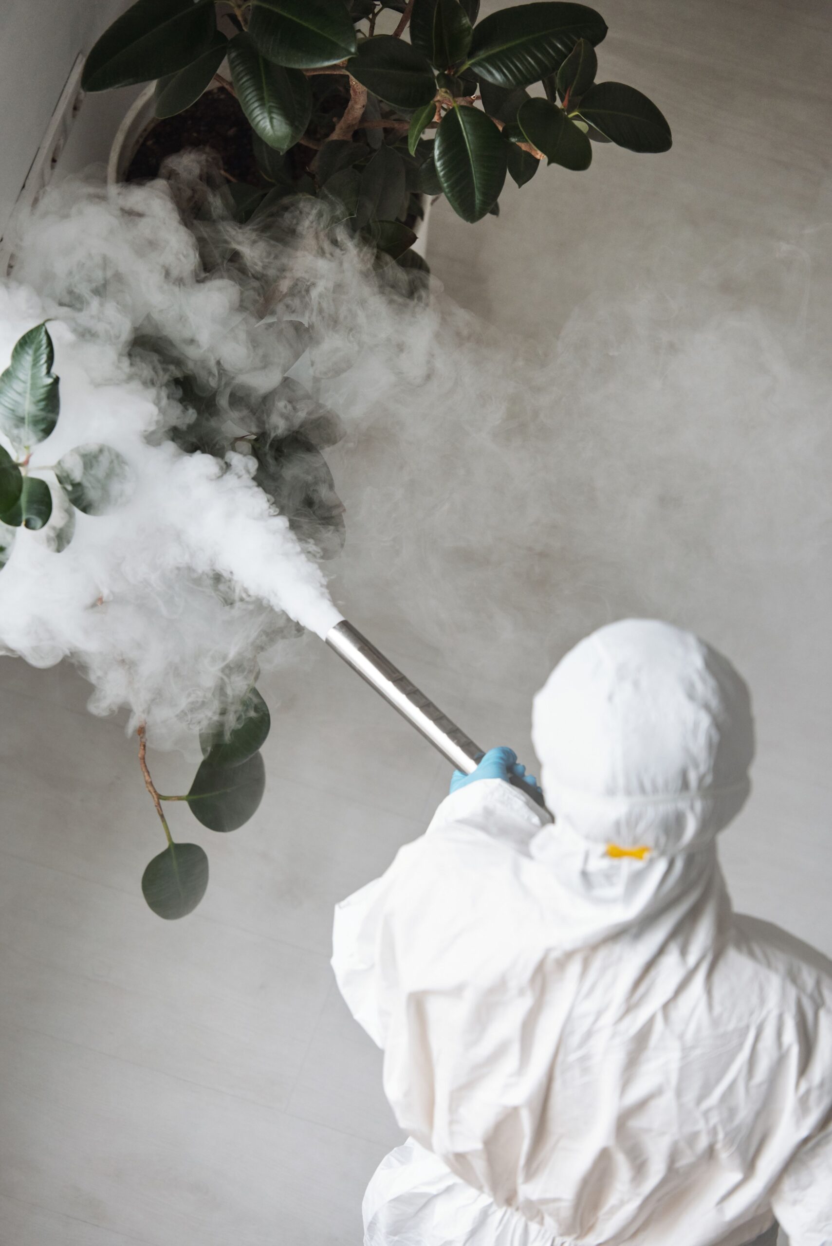 Meth Cleaning Napier