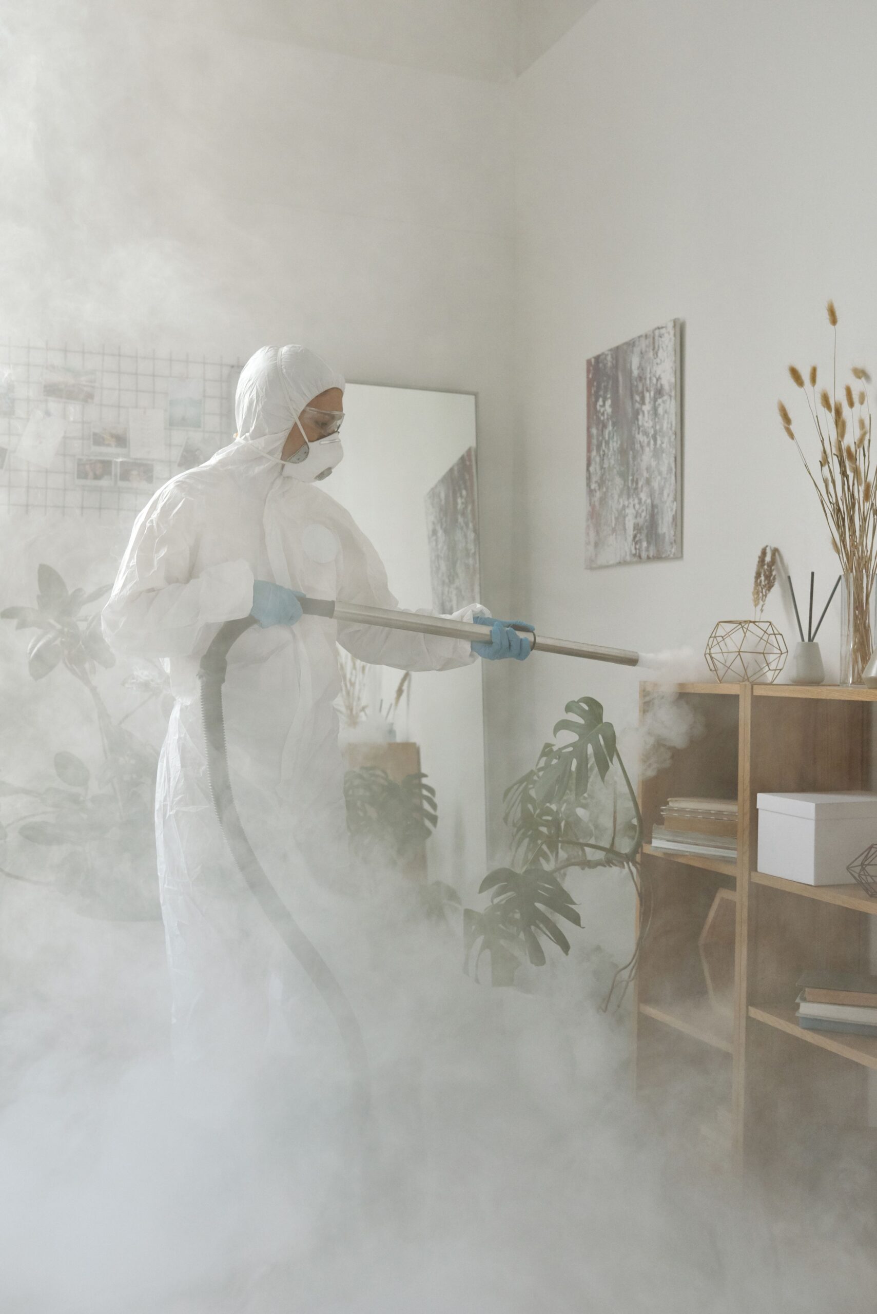 Meth Cleaning Rotorua